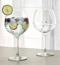 Gin Glasses